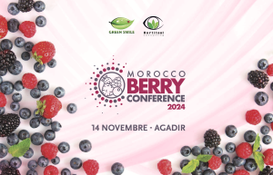 Morocco Berry Conference