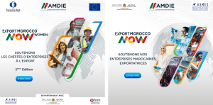 amdie export