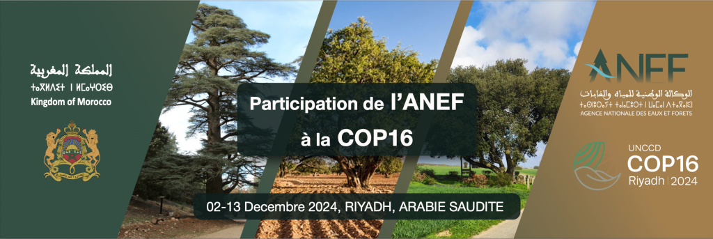 ANEF cop