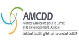 AMCDD coupe monde