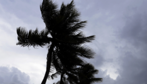 météo rafales vent