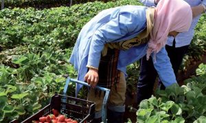 emploi rural