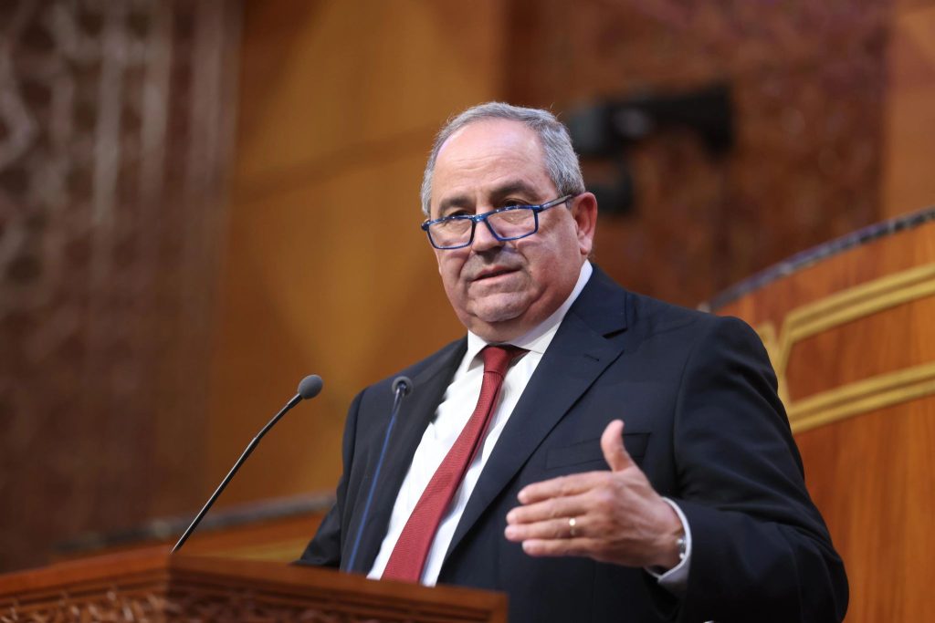Azzedine El Midaoui PNARDI