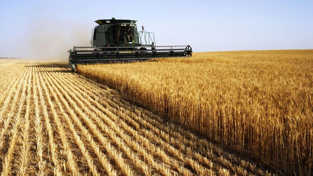 meunier agricole récolte céréalière campagne filière céréalière
