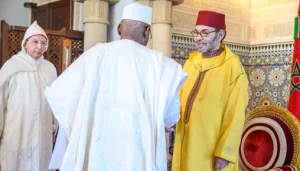 roi ambassadeurs