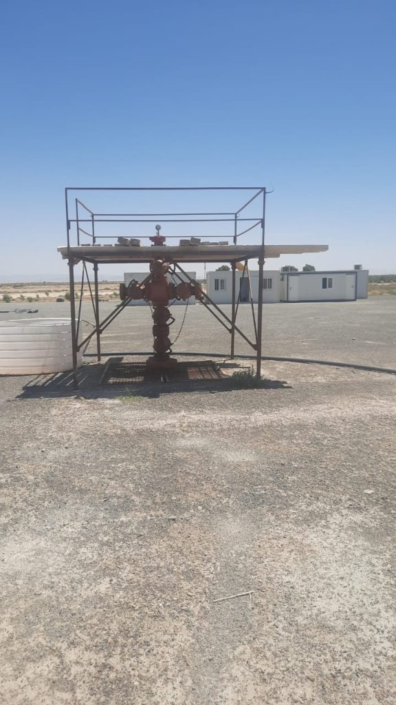 predator oil & gas