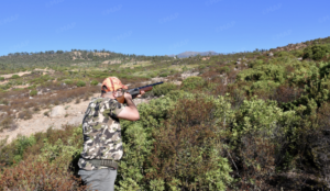 chasse