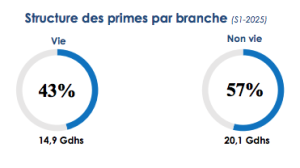 ACAPS : les primes émises en progression de 7,5% au S1 2025 2 acaps primes