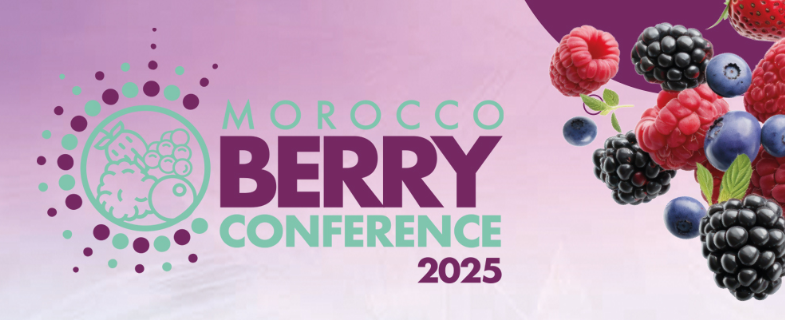 Morocco Berry