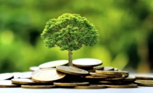 climat Afrique financement climatique