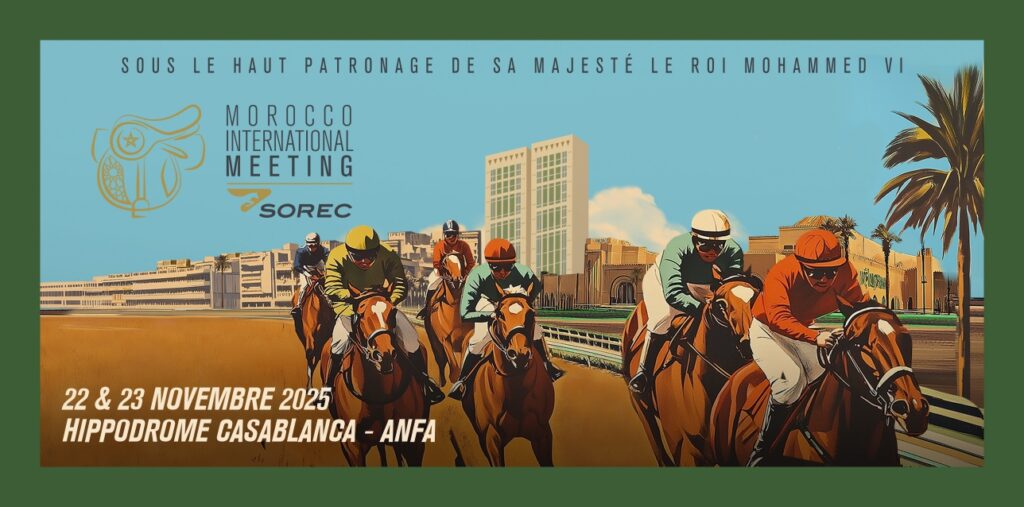 SOREC_Morocco International Meeting 2025 : Casablanca accueille à nouveau l’excellence hippique marocaine 1 sorec