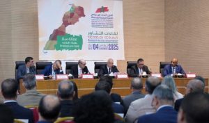 développement territorial intégré