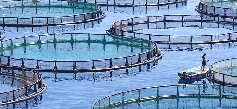 Aquaculture