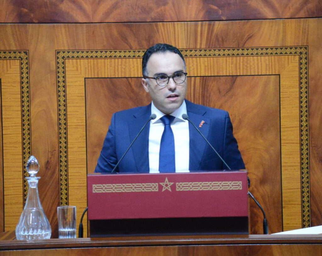 reda mahmini