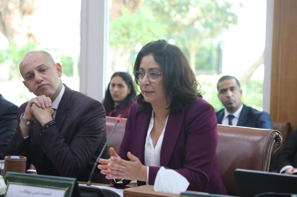 Marchica : 900 MDH pour relancer un projet stratégique à Nador 1 marchica