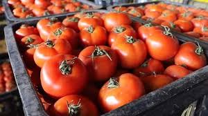 Agroexportation