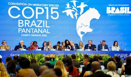 Le Brésil accueille la COP15 sur les espèces migratrices avec la participation du Maroc 1 Brésil