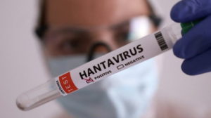 hantavirus