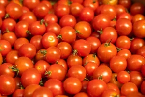 tomates-cerises-