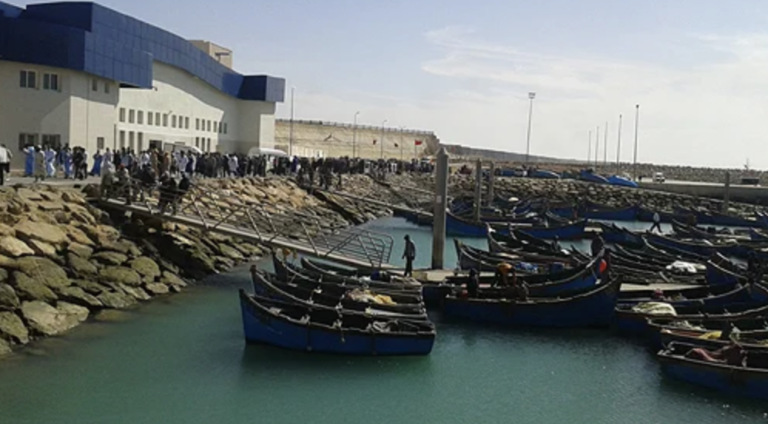 essaouira récole coquillages