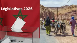 élections