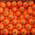 agrumes mandarine
