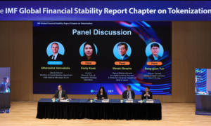 Blockchain finance tokenisation FMI