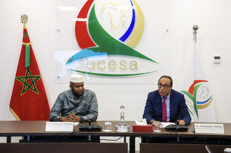mou ECOSOCC afrique
