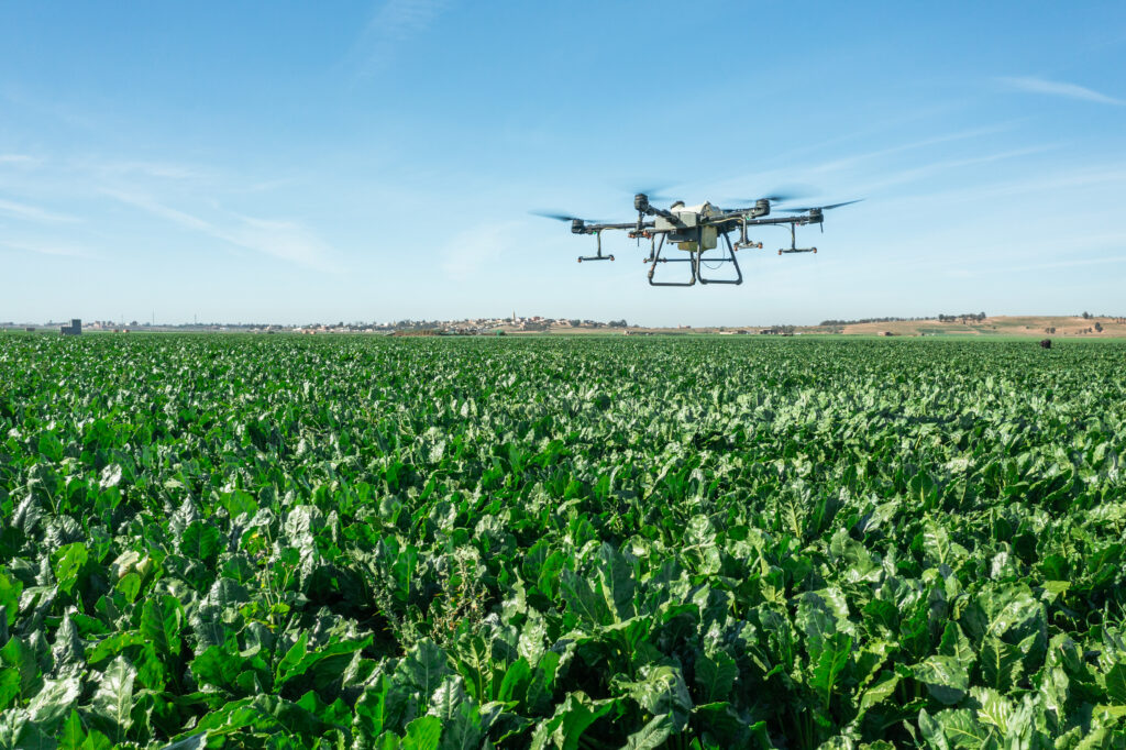Filière sucrière : la FIMASUCRE mise sur 63.000 hectares pour renforcer la production nationale en 2026-2027 1 filiale sucrière