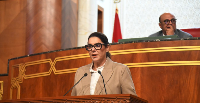 Gouvrnement El Mansouri Conseillers