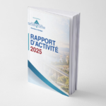 budget recettes comptes publics